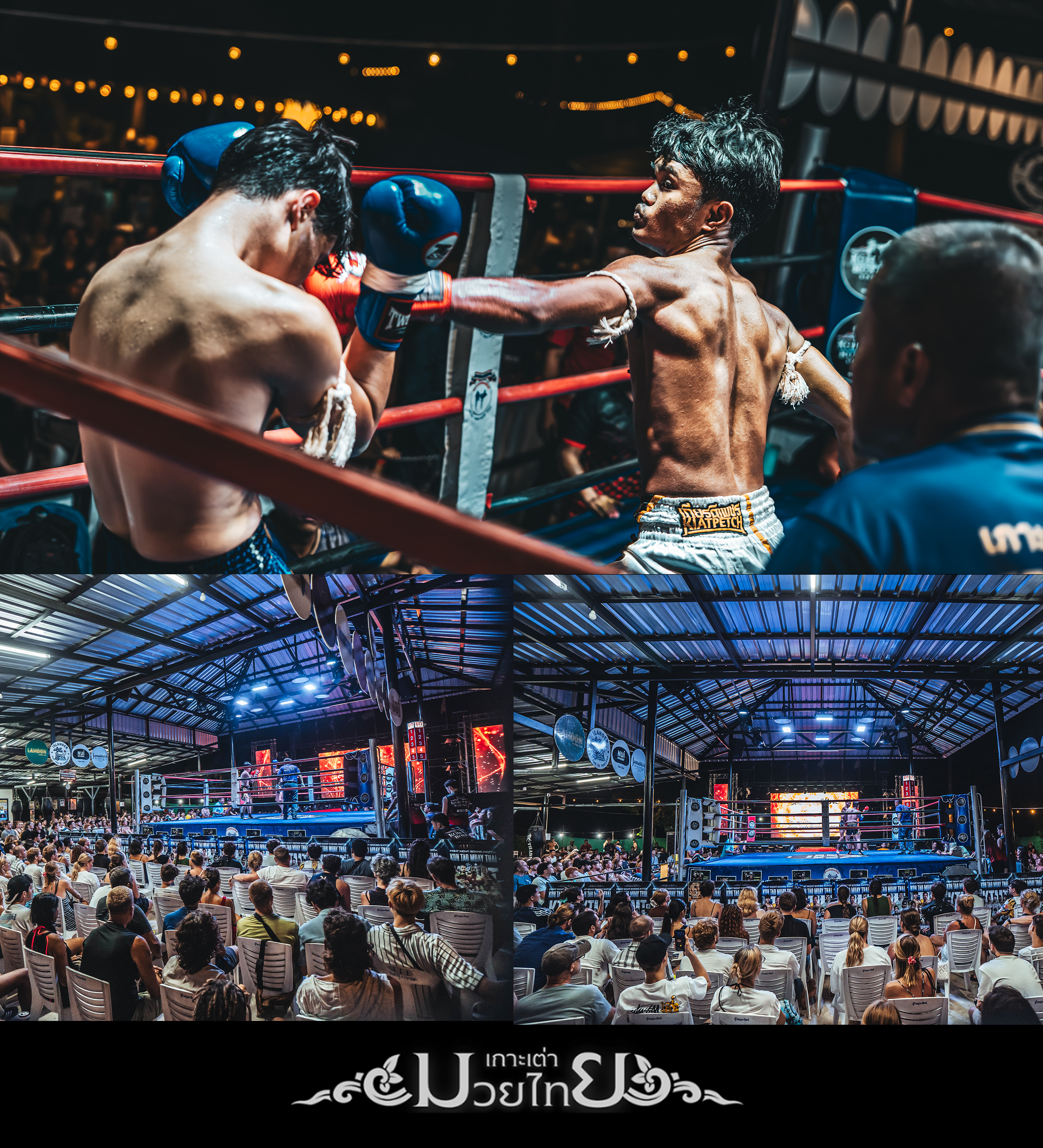 https://megatix.in.th/events/KTMT190825
