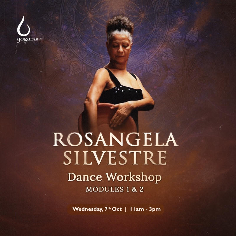 Rosangela Silvestre Dance Workshop Modules 1 & 2